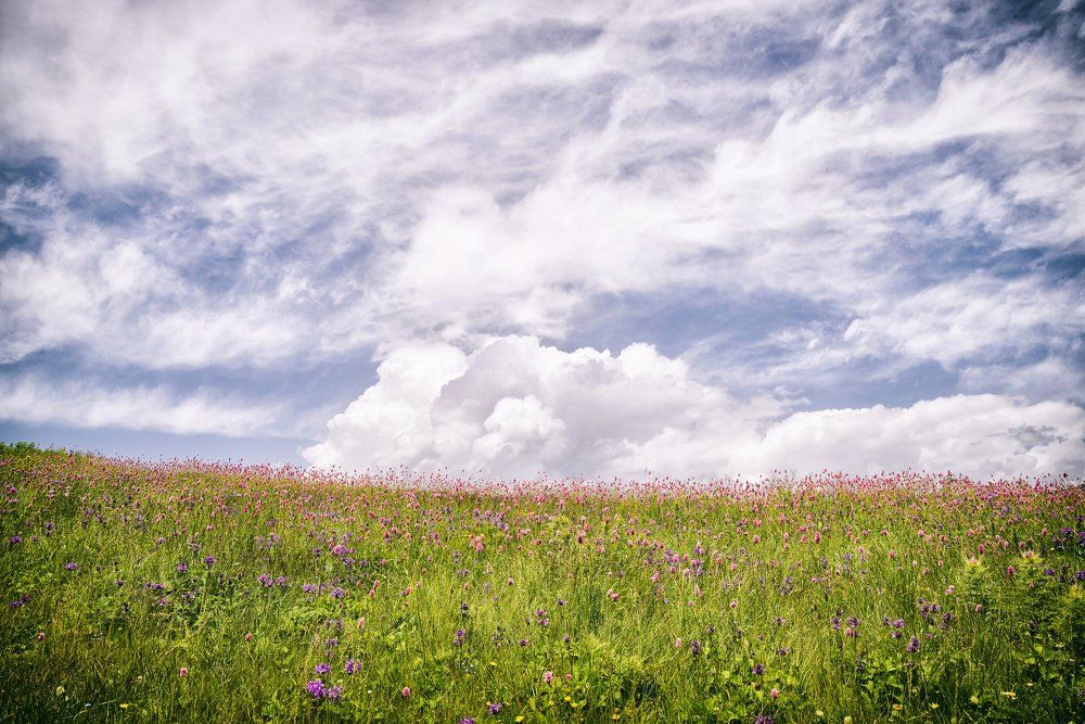 Между небом и землёй