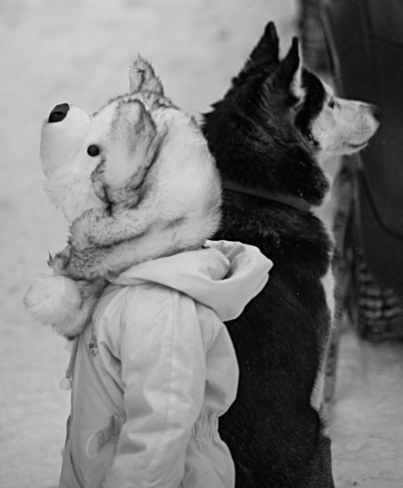 мы одной крови