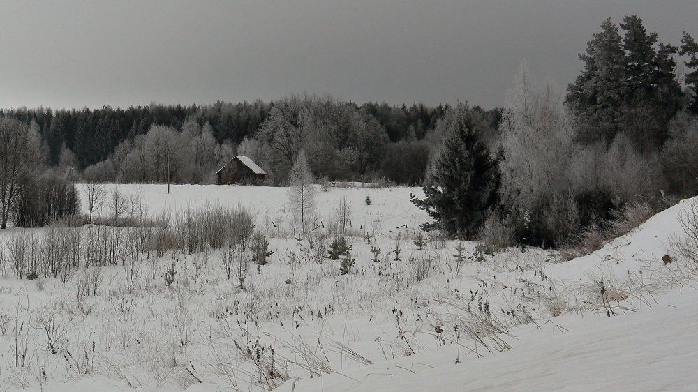 Photograph by Teresa