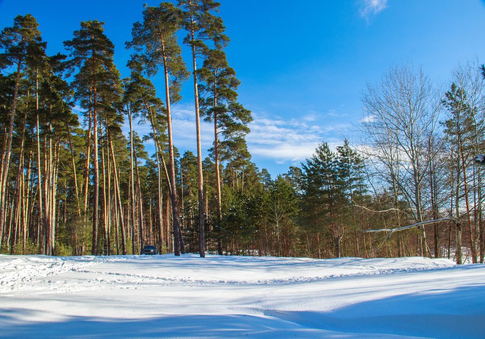 Мороз и солнце день чудесный...