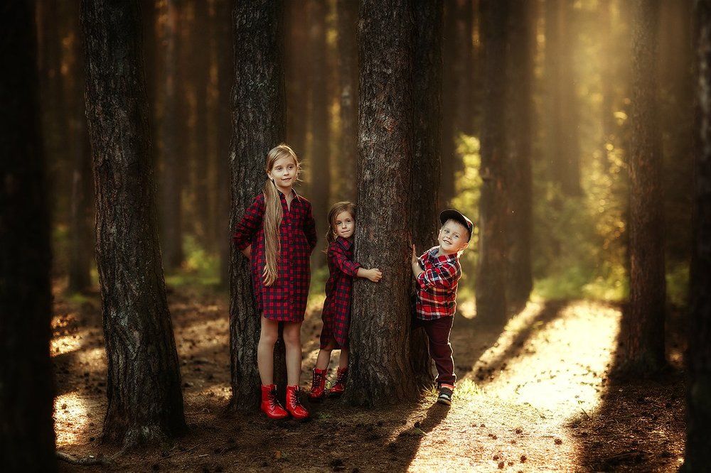 В сказочном лесу