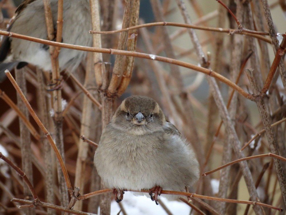 ну долго еще? лететь нужно...