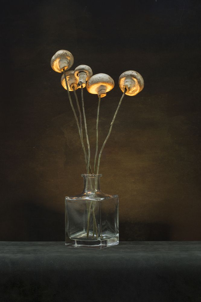 Букет грибов