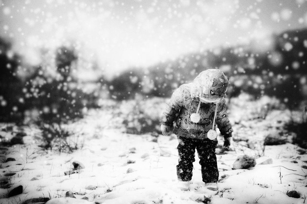 Черно белая зима