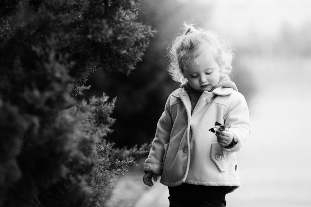 Удивительный мир