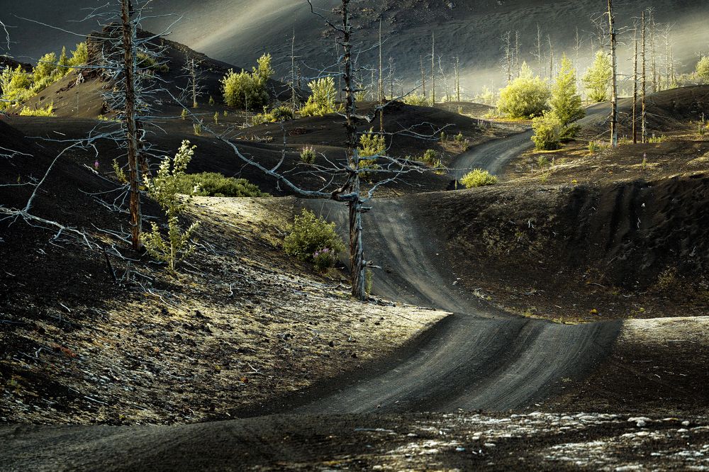 Ужасающая красота...