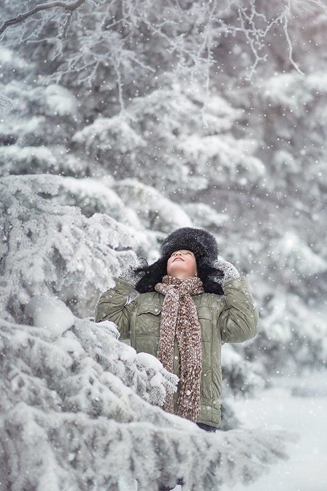 сказочный лес