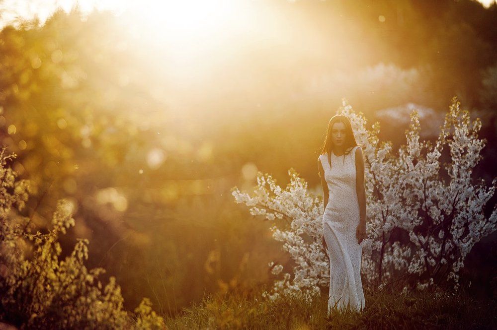 вишневый сад