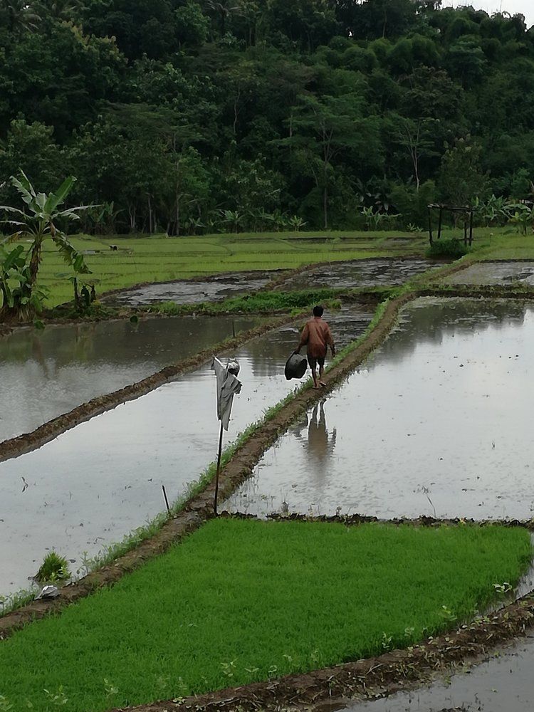 kerja