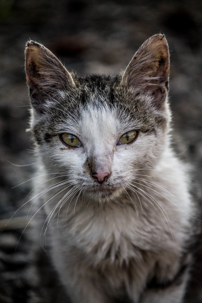 Photograph by Мальцева Дарья