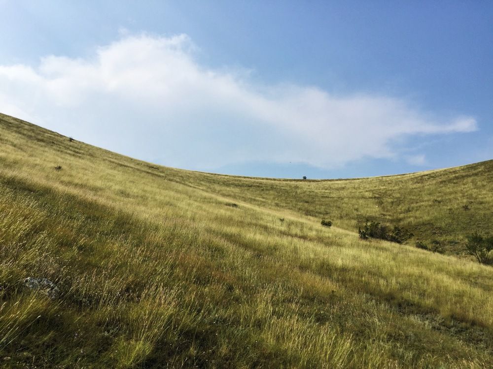 Бархатные поля