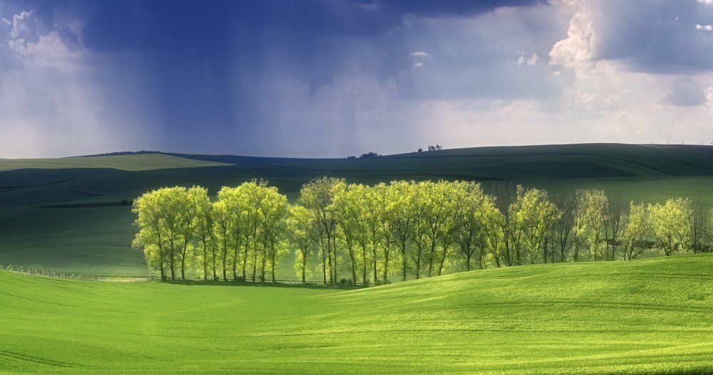 Майская свежесть