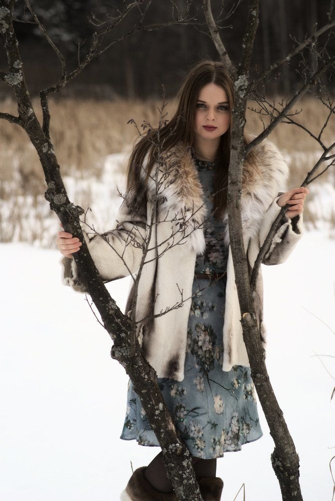 Photo #1660380