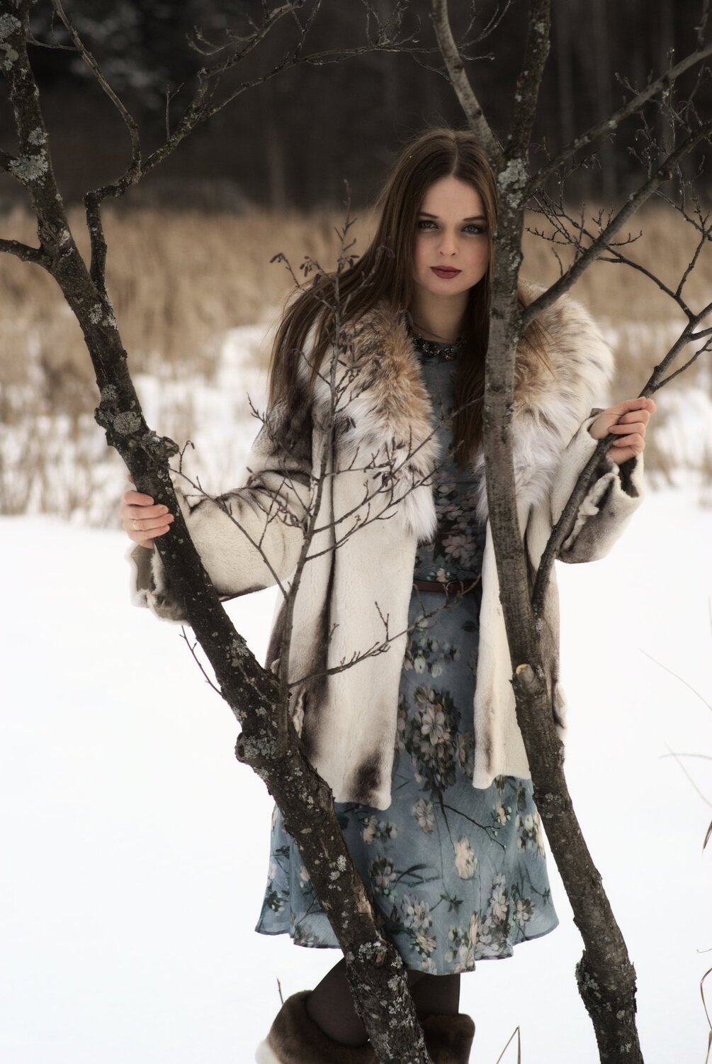 Photo #1660380