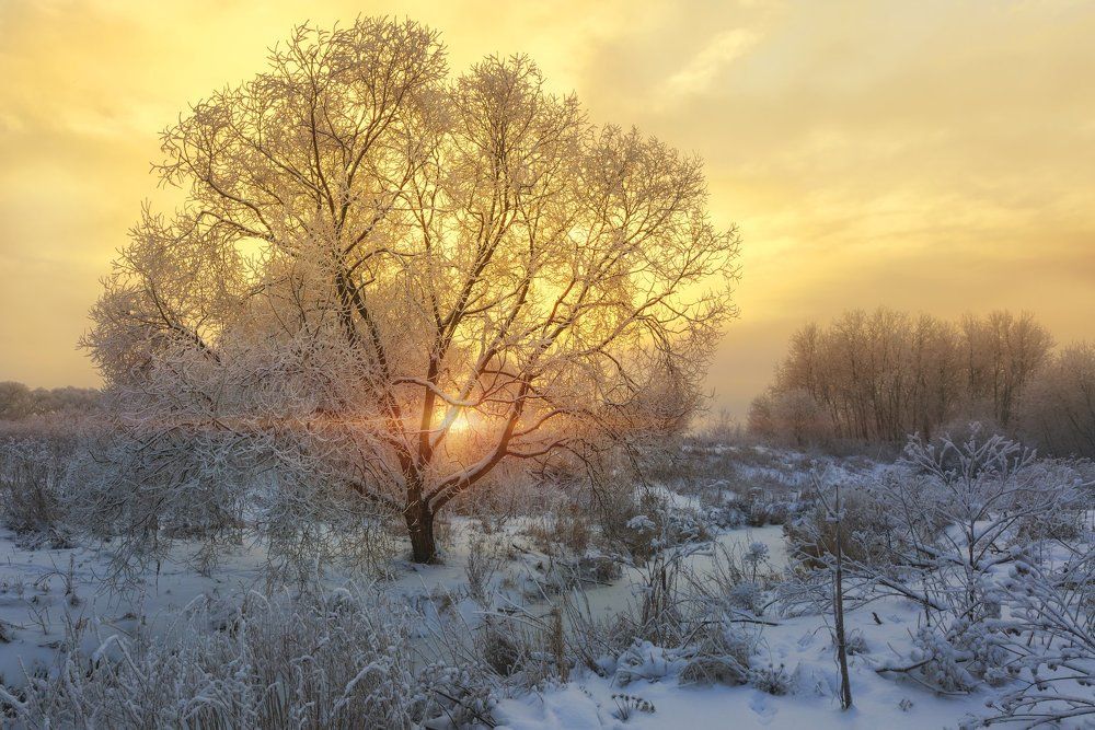 Морозный закат