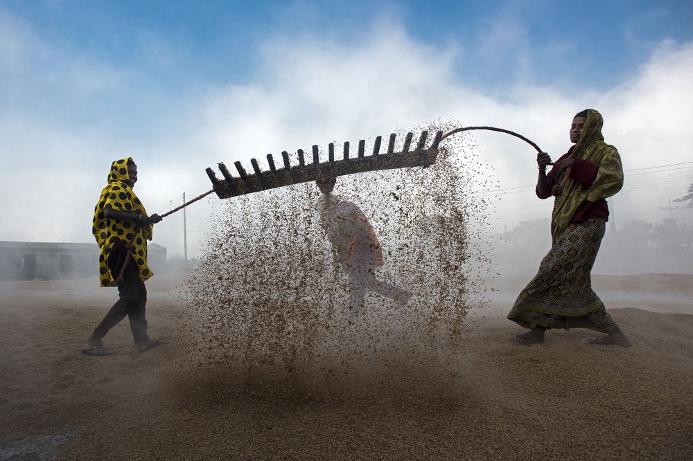 Working Women in Rice Mill