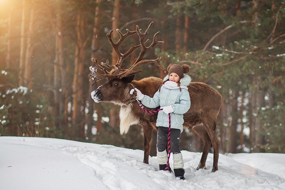С оленем на прогулке