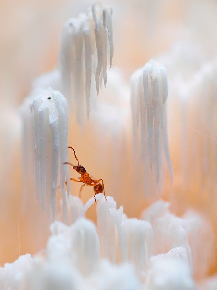 Почти Памуккале