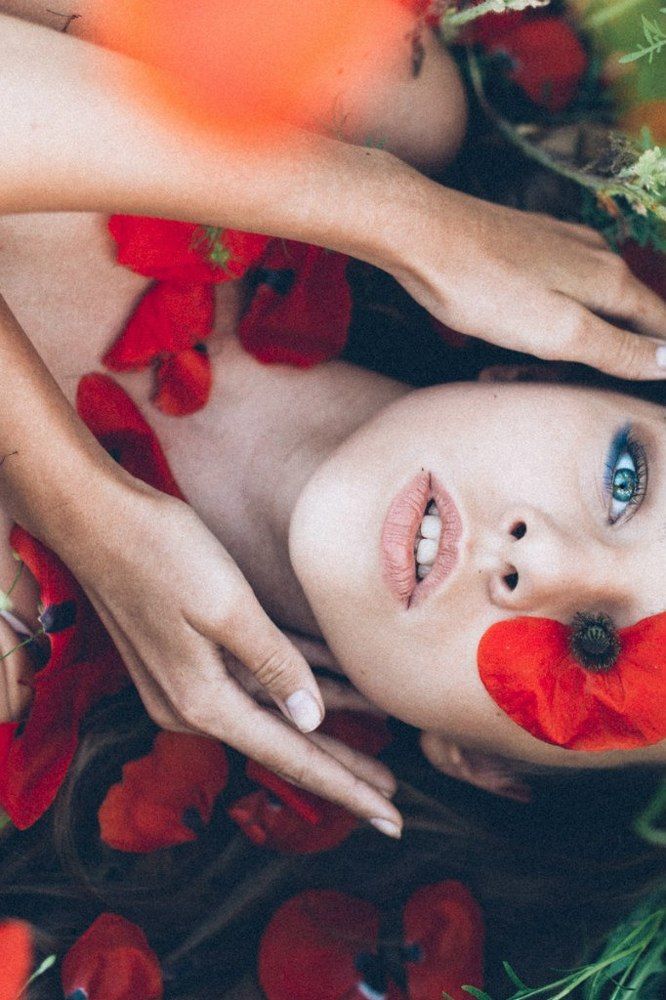 алых бабочек развернутые крылья