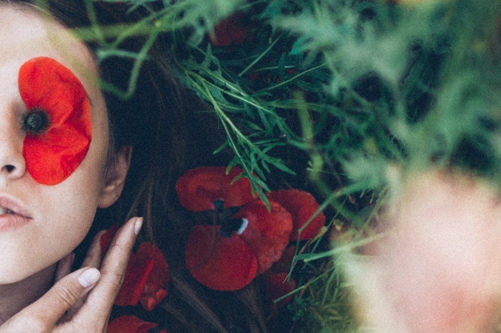 алых бабочек развернутые крылья