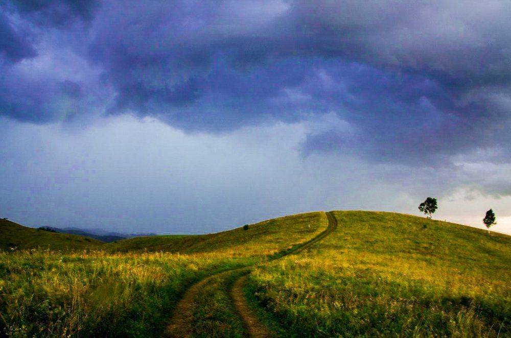 Перед грозой