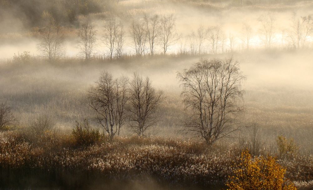 Осенние туманы