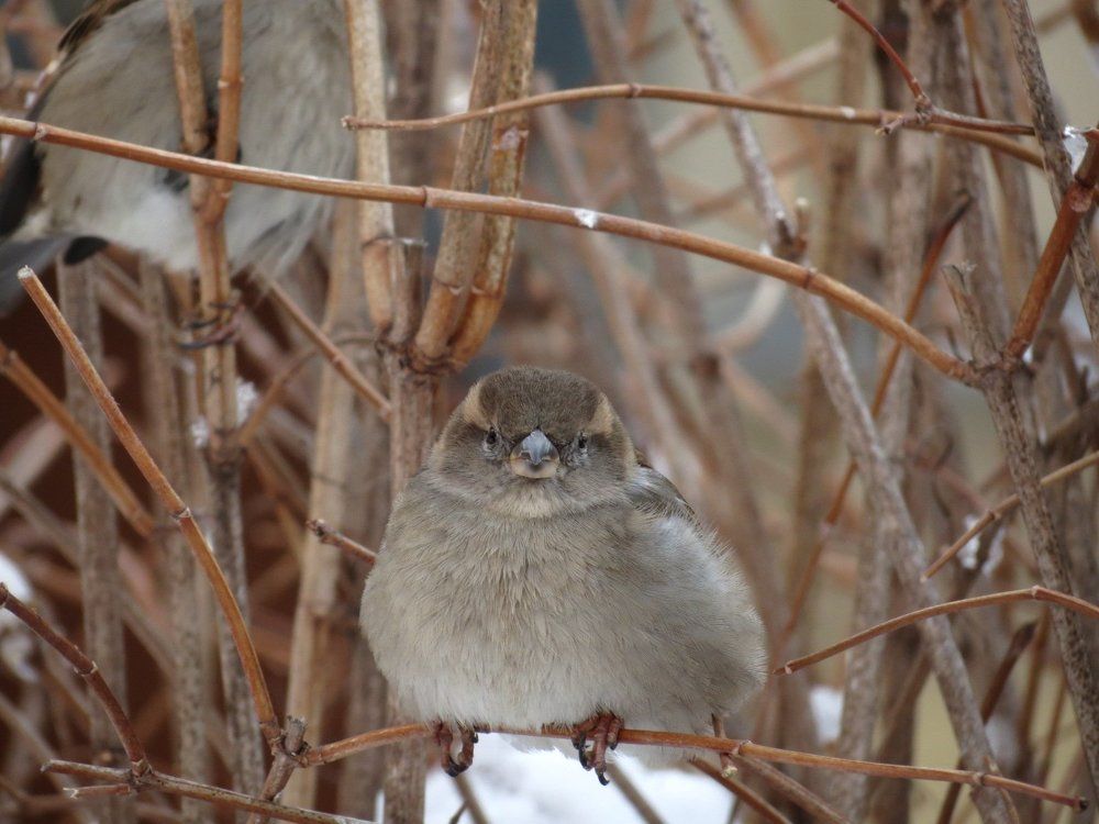 ну долго еще? лететь нужно...