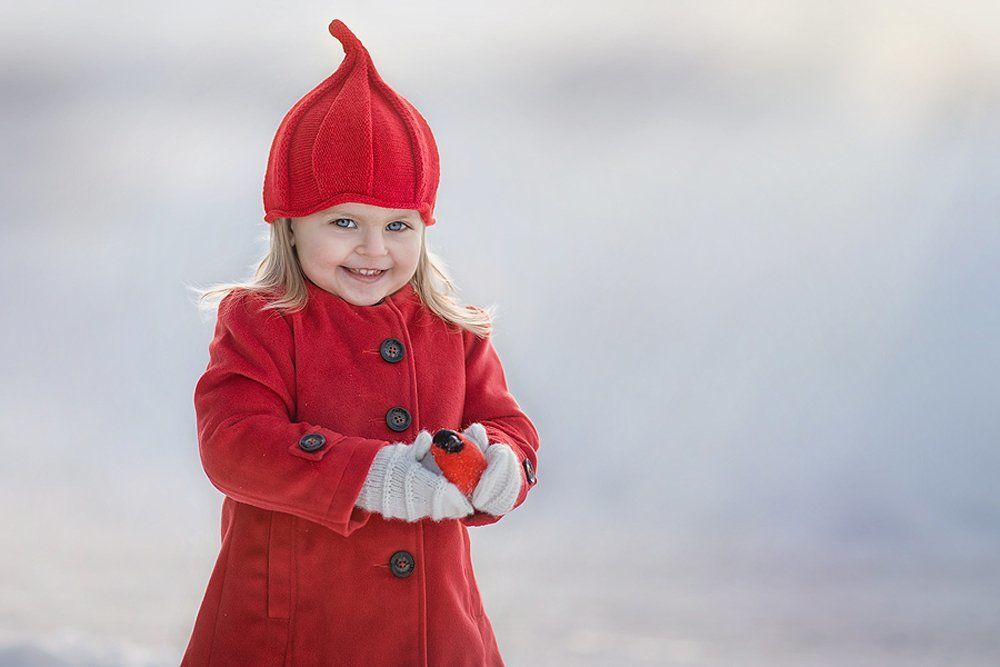 Девочка и снегирь