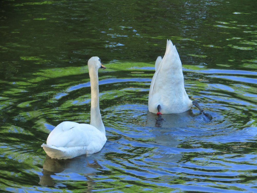 и как? есть там что?