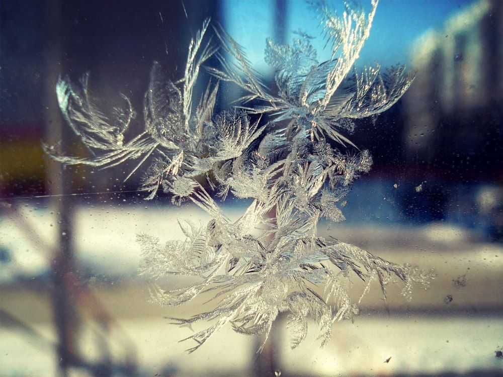морозный цветок
