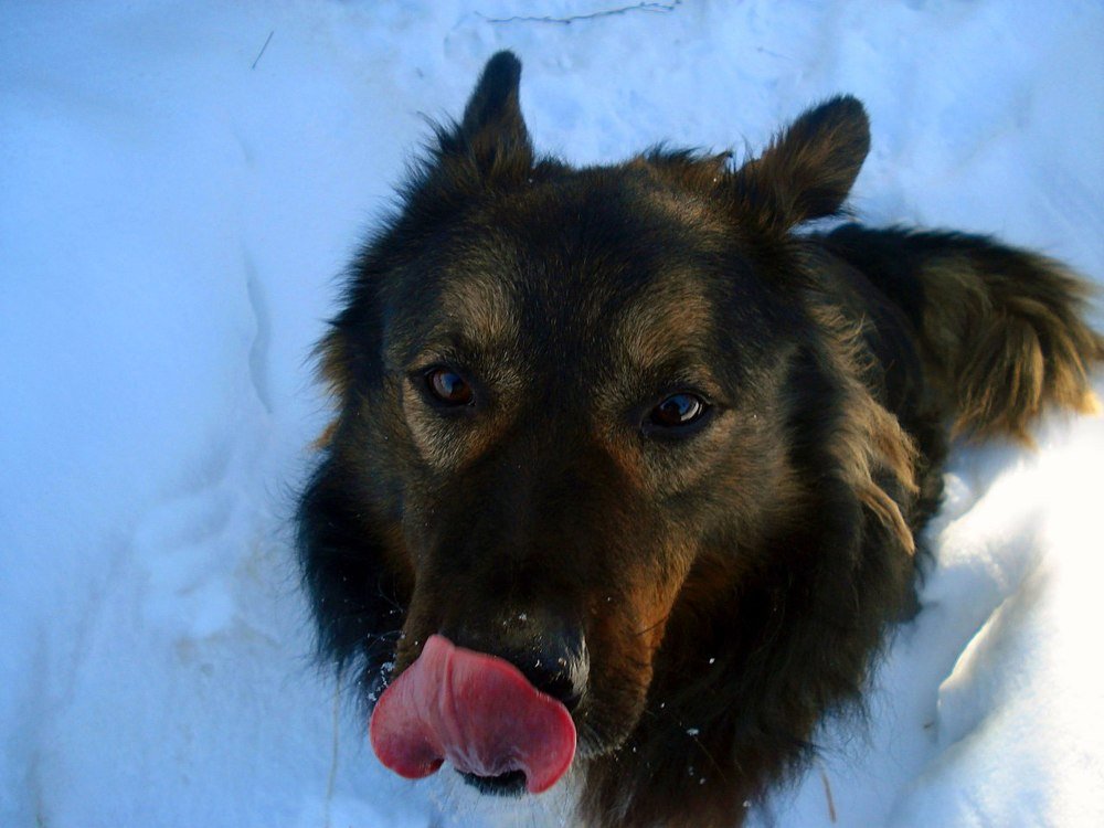 Люблю..........