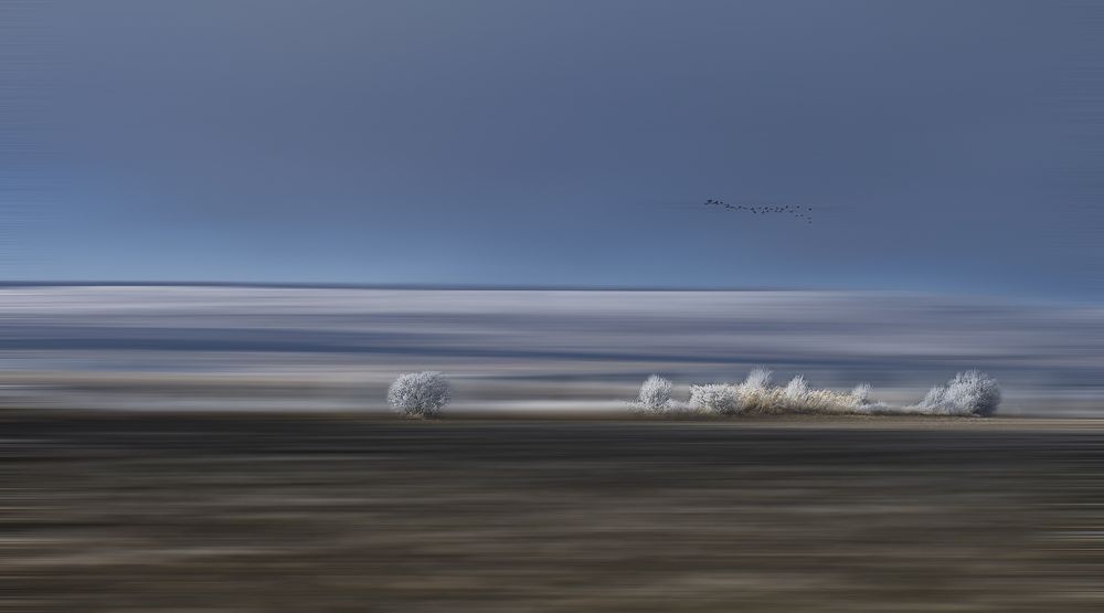 Photograph by gennadi