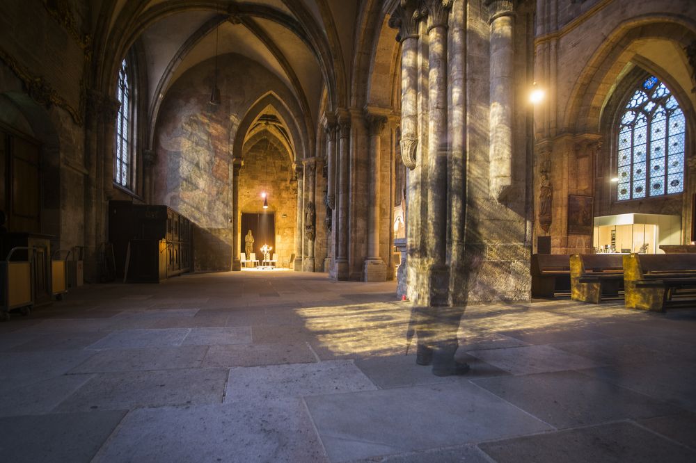 Посетитель