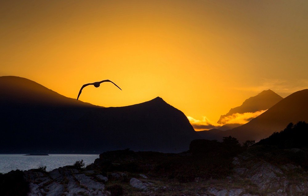 Силуэты на Лофотенах