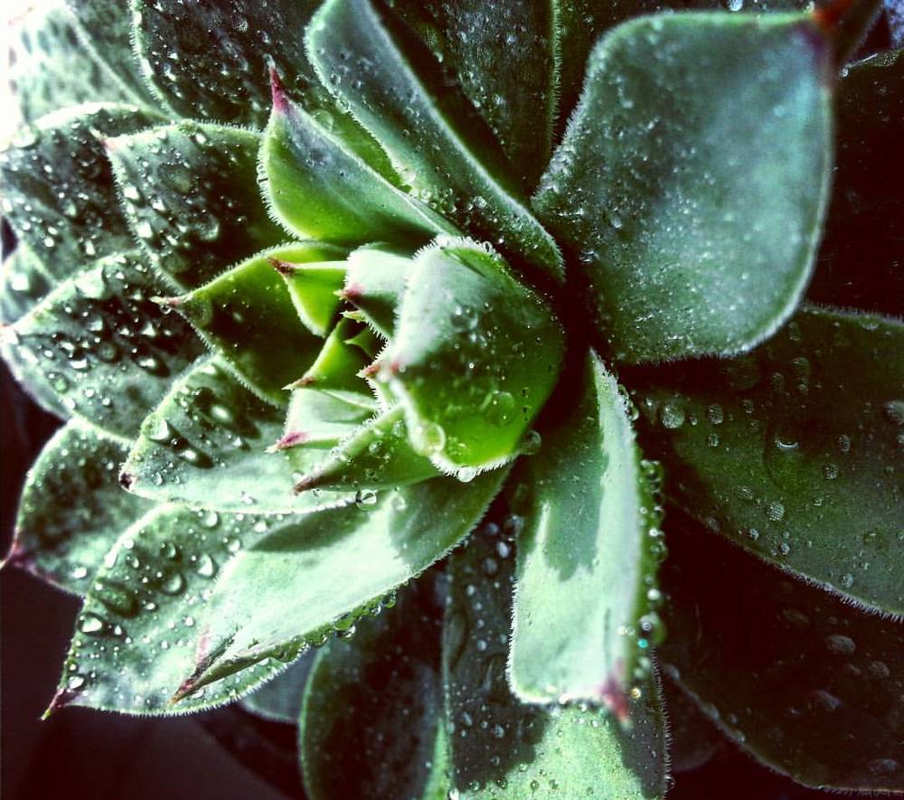 Photograph by Александра