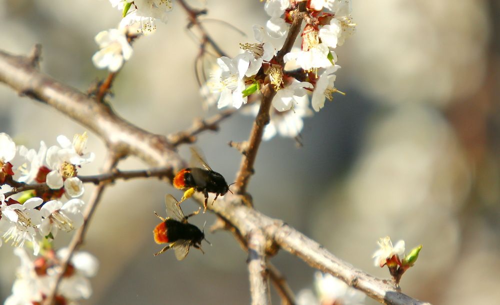 Кто быстрее?