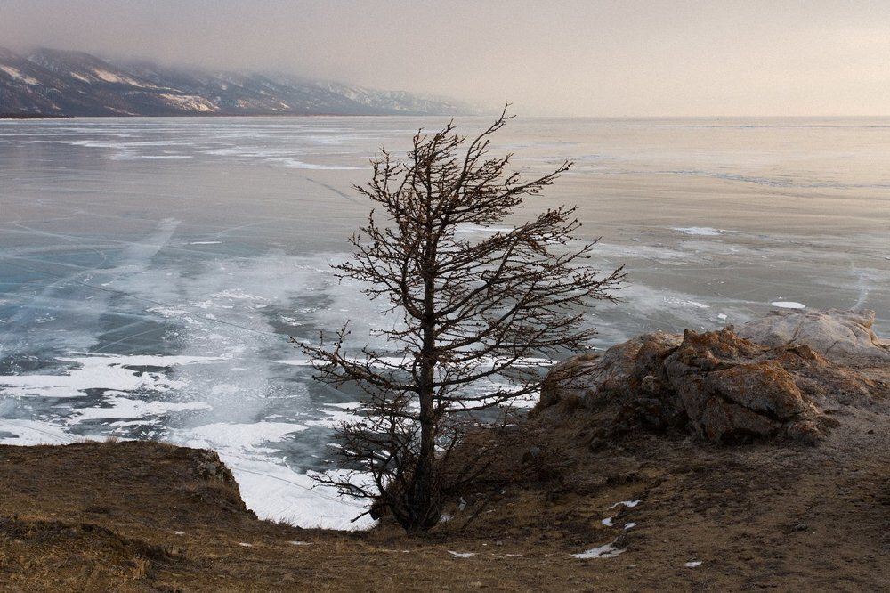 Одиночество