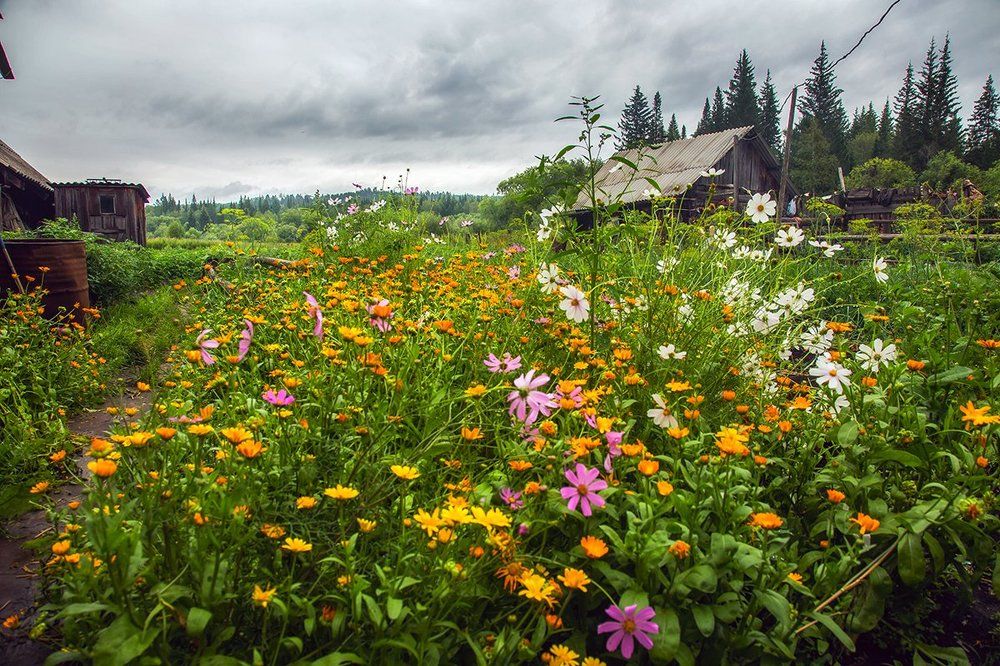 Баня в огороде