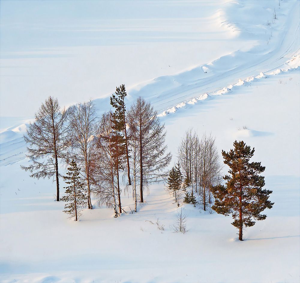 "Уцелевшие"