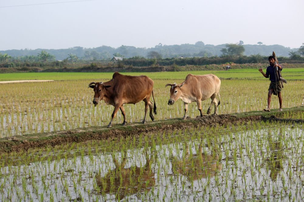 Back to home after the hard work.