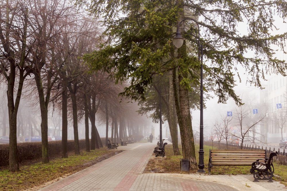 Весенним утром