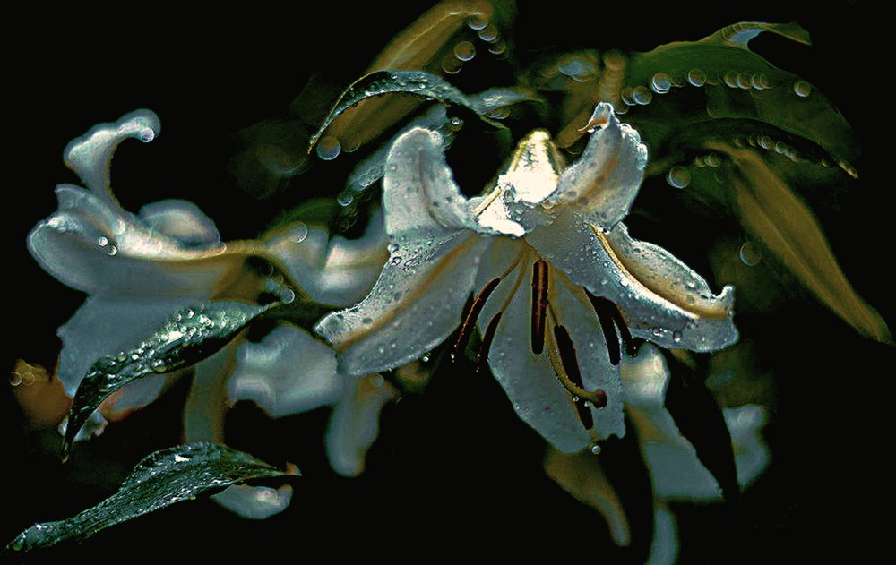 после дождя