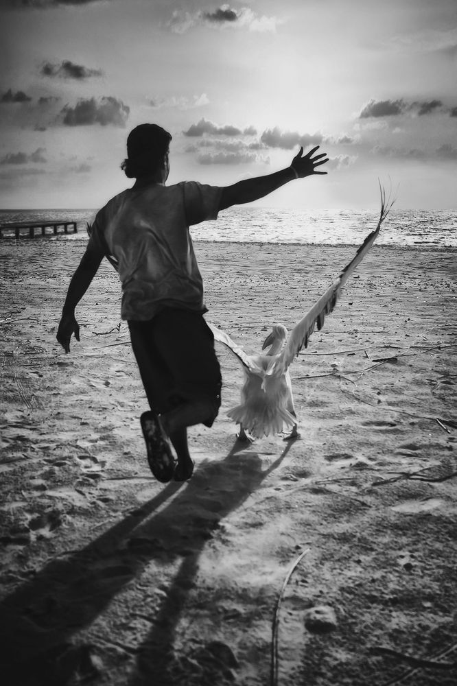 Навстречу солнца