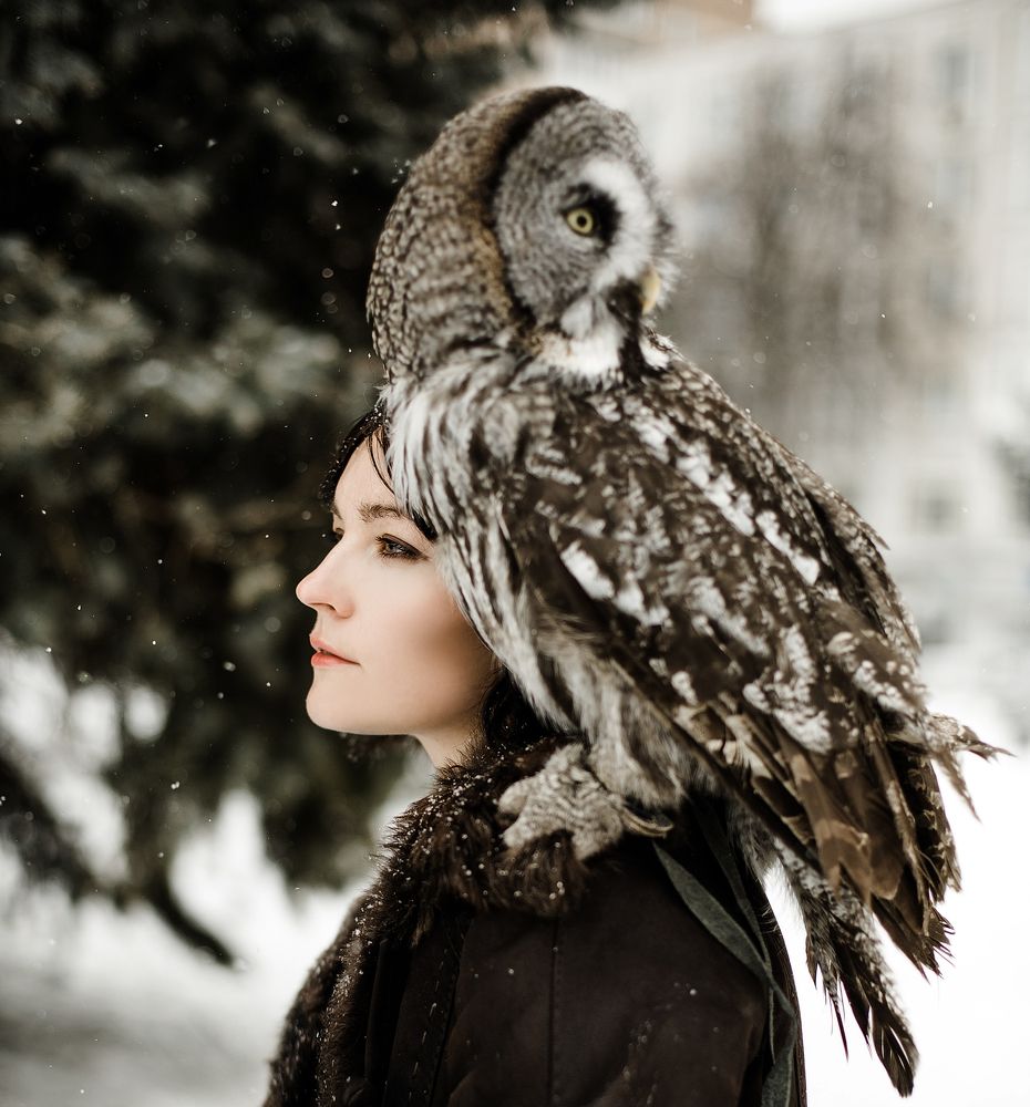 2 лица одной зимы