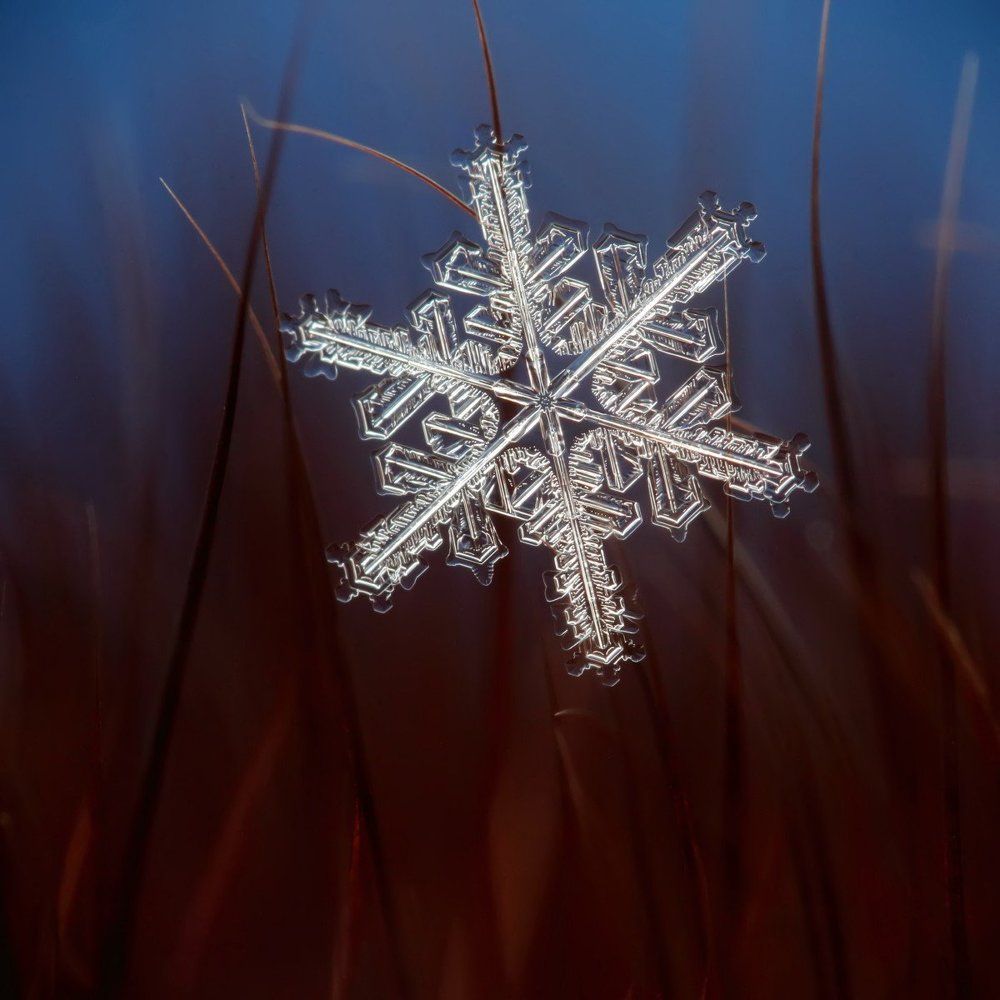 Подарок небес