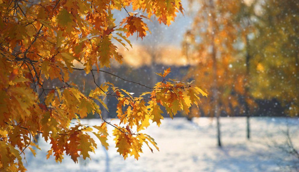 Зима торопится...