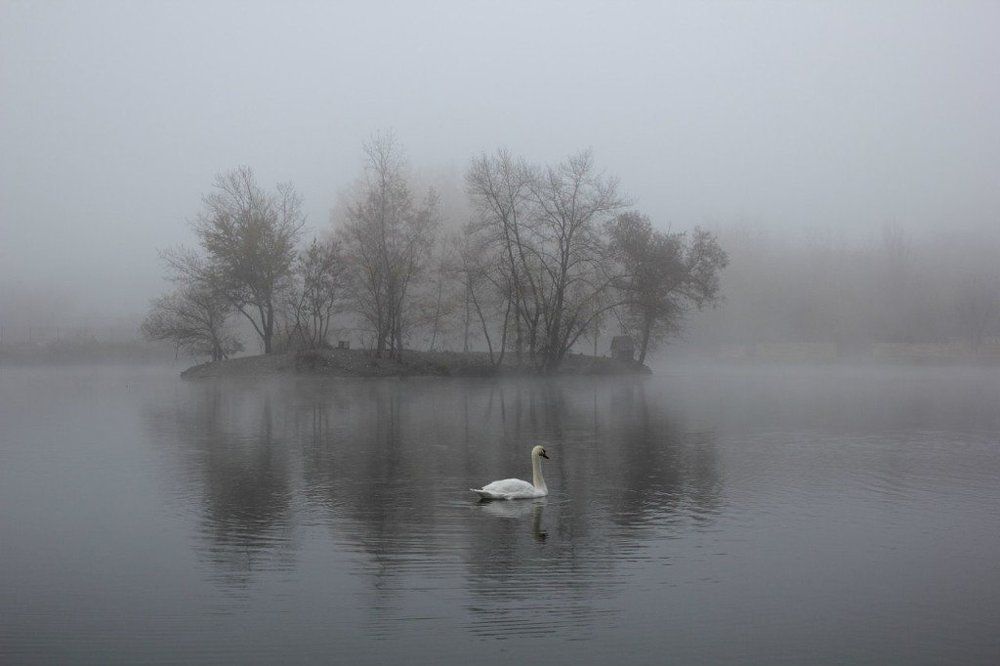 туманное осеннее утро