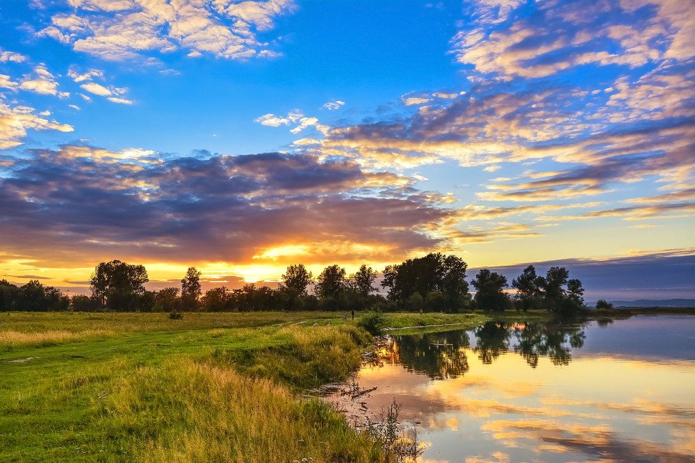 А зори у нас тихие.