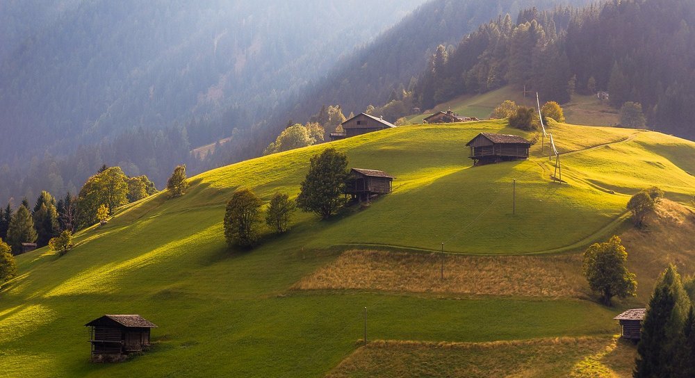 Альпийские луга