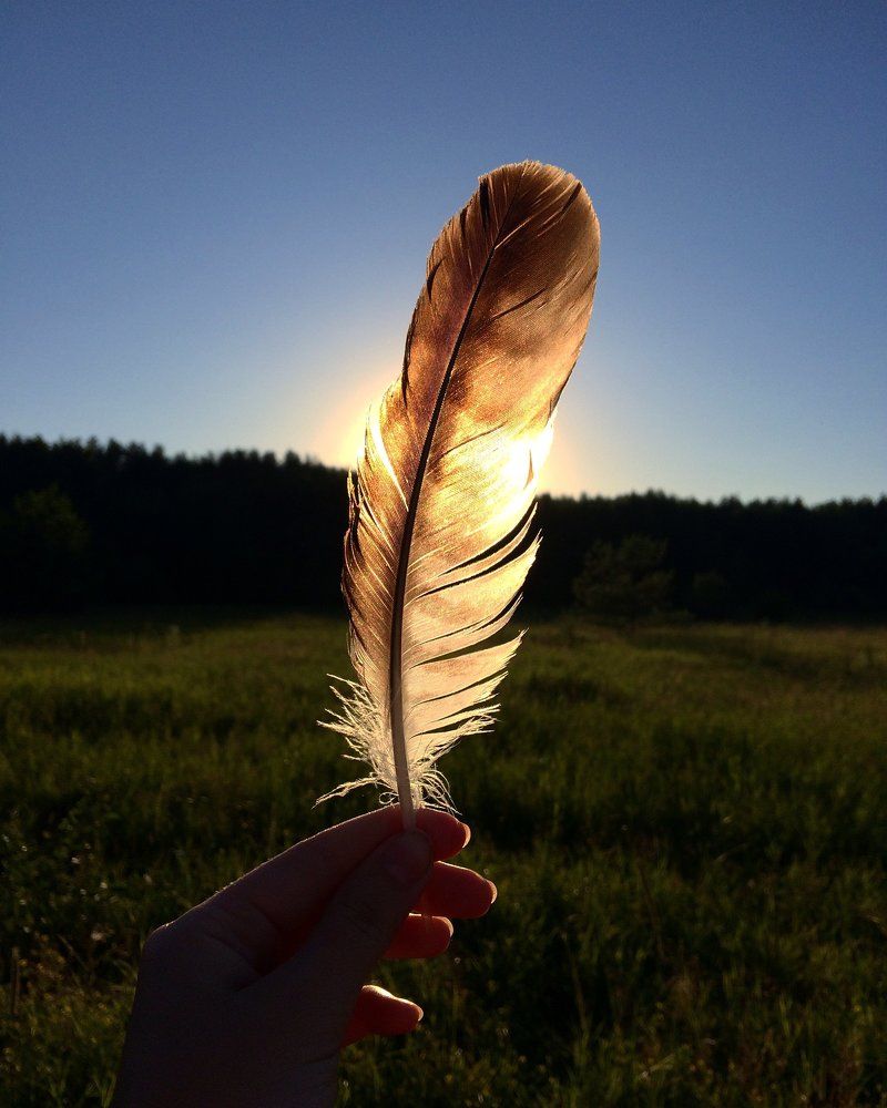 Счастье близко